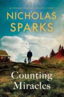 Counting Miracles (Large Print)