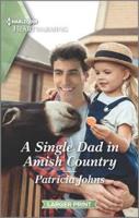 A Single Dad In Amish Country (Large Print)